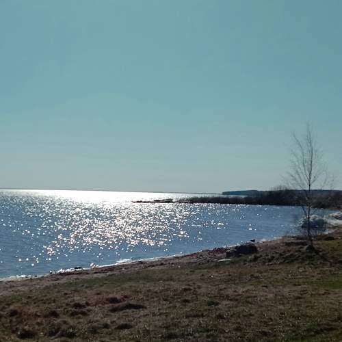 Photo #7353776