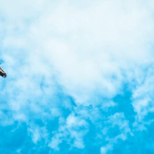 Photo #7353903