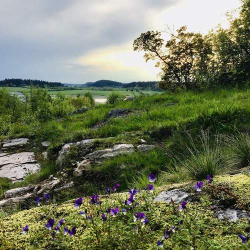 Photo #7354069