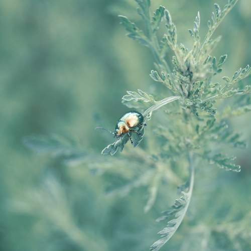 Photo #7354082