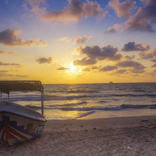 Photo #7354350