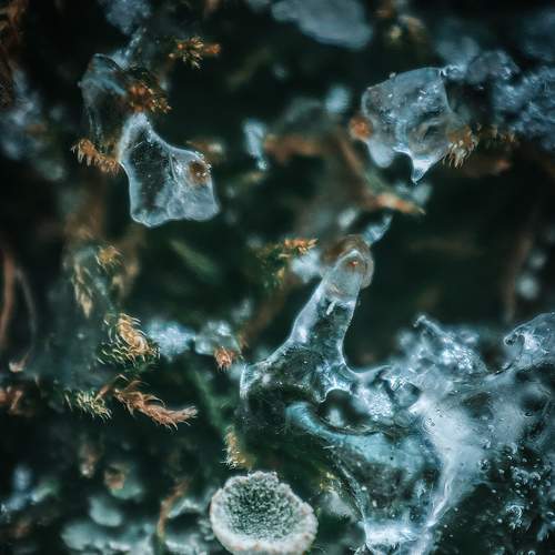 Photo #7354427