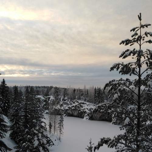 Photo #7354431