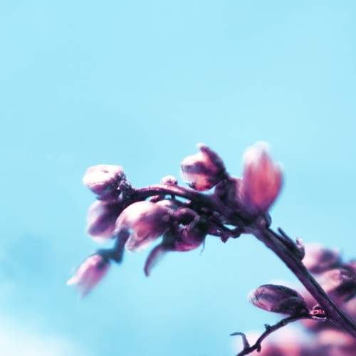 Photo #7354556