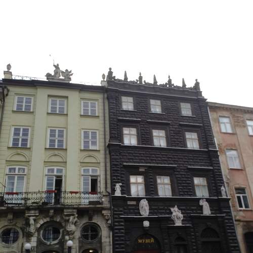 Photo #7354808
