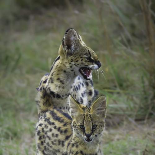 Photo #7354816