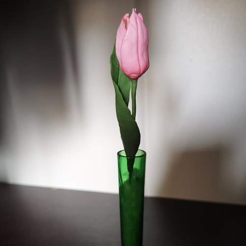 Photo #7354949