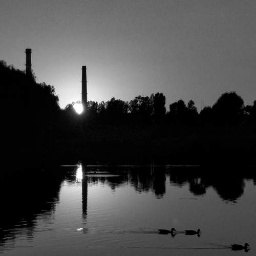 Photo #7354957