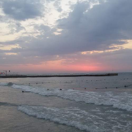 Photo #7354986