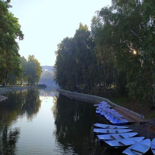 Photo #7355078