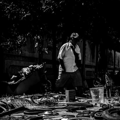 Photo #7355108