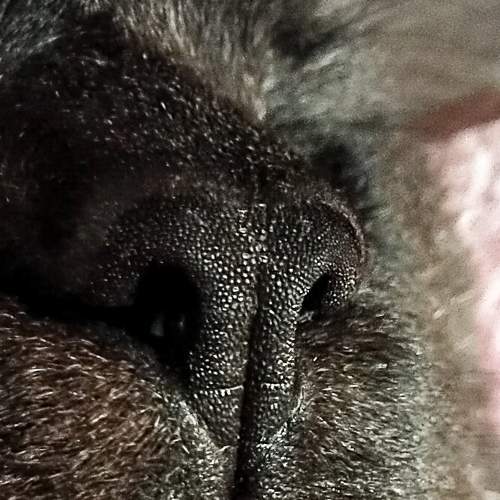Photo #7355116