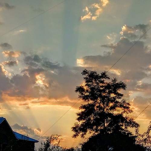 Photo #7355438
