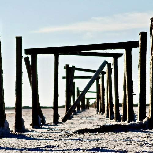 Photo #7355479