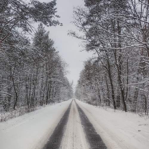 Photo #7355492