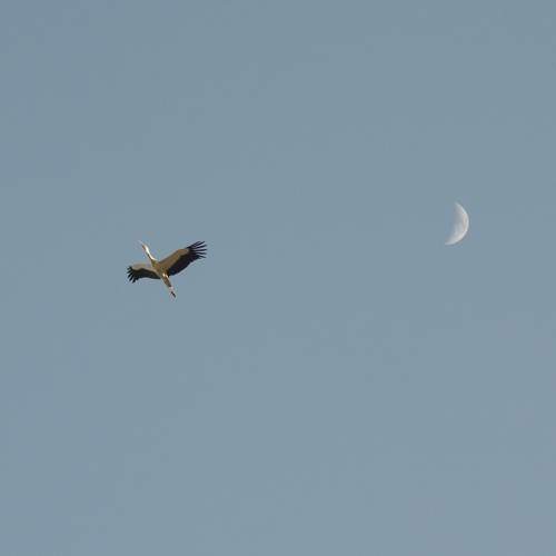 Photo #7355745
