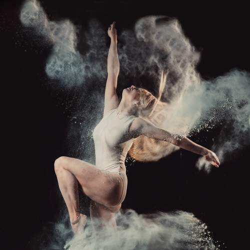 Photo #7355769
