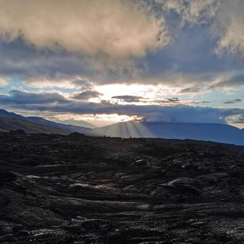 Photo #7355859