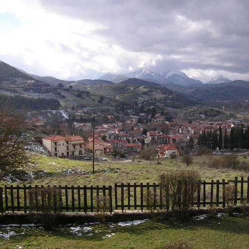 Photo #7355880