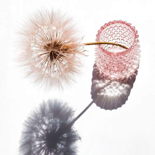 Photo #7355924