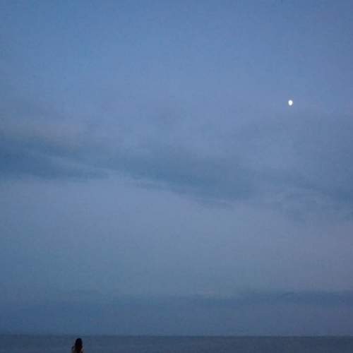 Photo #7356107