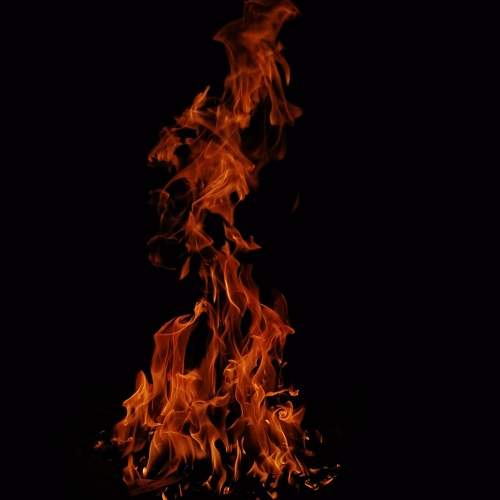 Photo #7356120