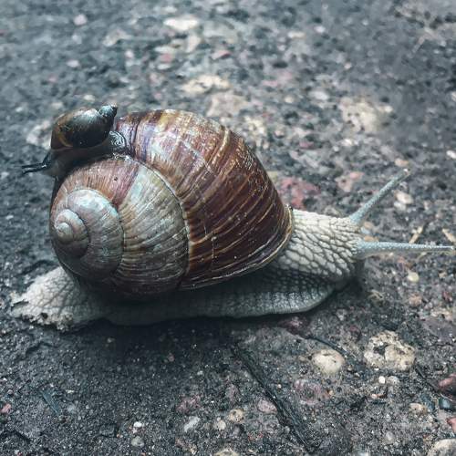 Photo #7356166