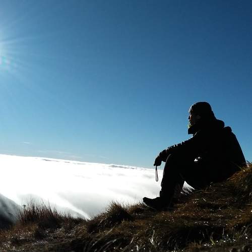 Photo #7356416
