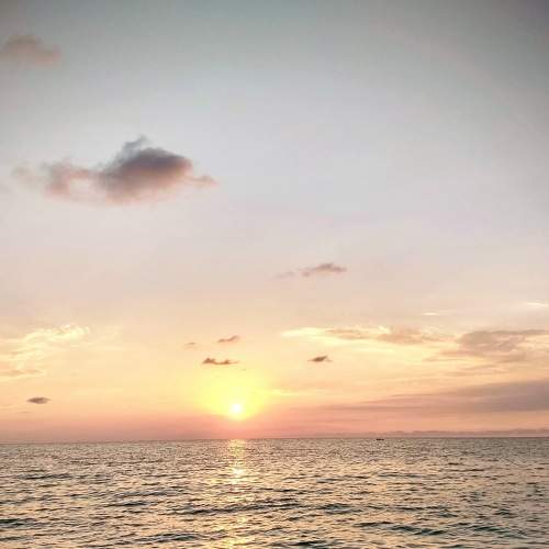 Photo #7356423