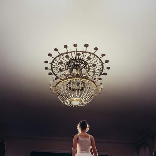Photo #7356461