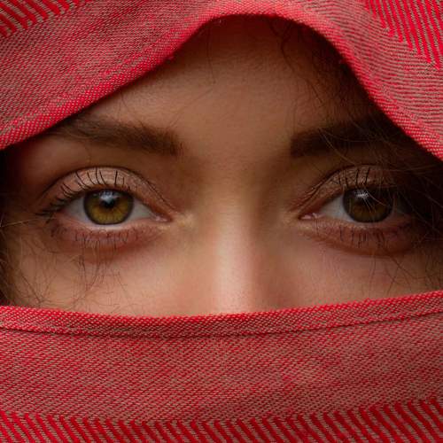 Photo #7356510