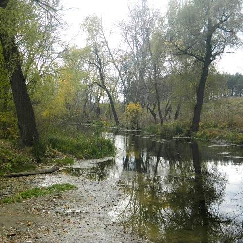 Photo #7356524