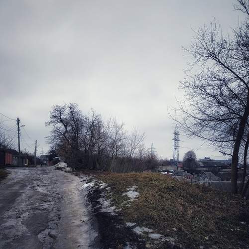 Photo #7356702