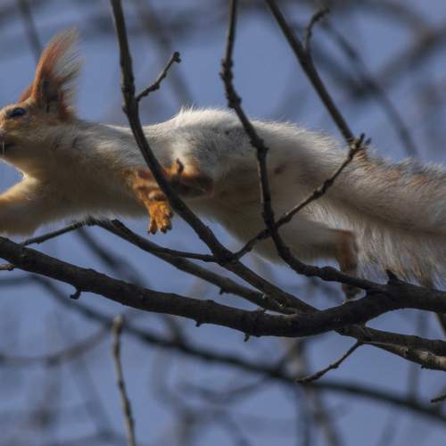 Photo #7356790