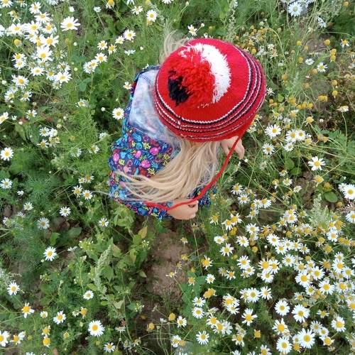 Photo #7356834
