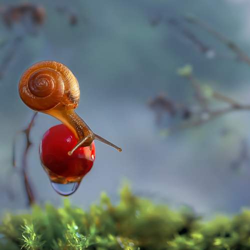 Photo #7356892