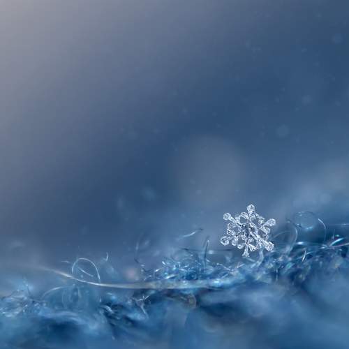 Photo #7356964