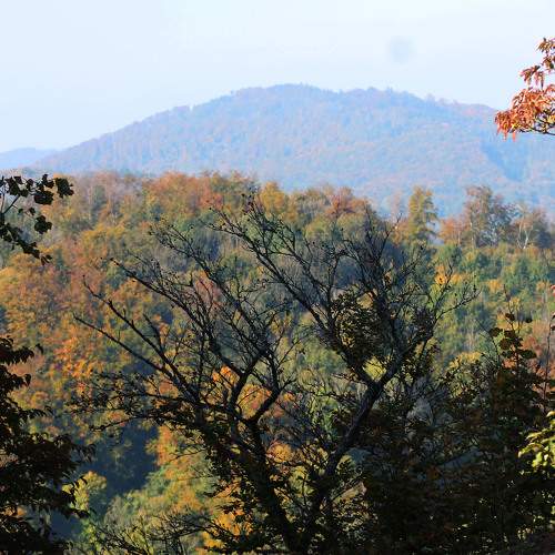 Photo #7357036