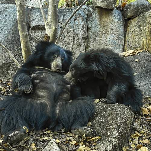 Photo #7357182
