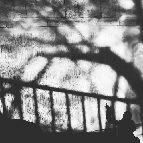 Photo #7357286