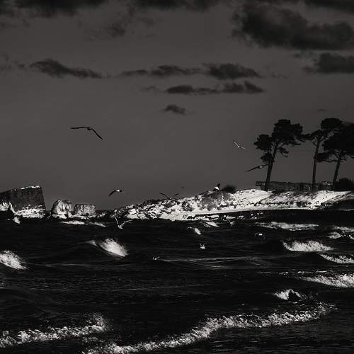 Photo #7357326