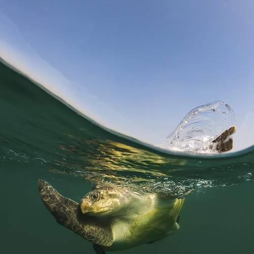 Photo #7357328