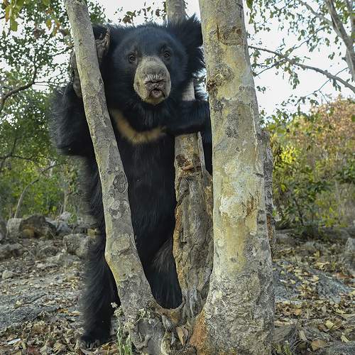 Photo #7357508