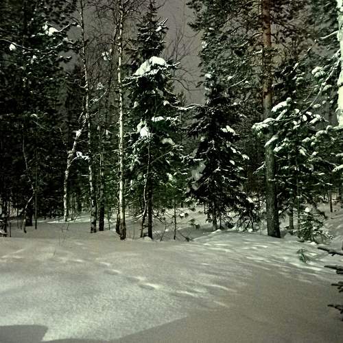 Photo #7357756