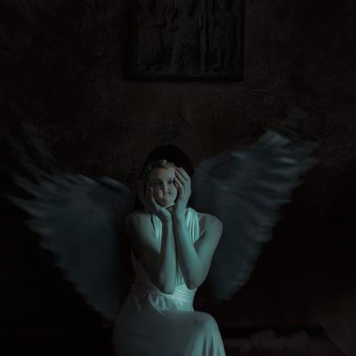 Photo #7357786