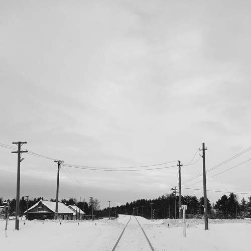 Photo #7357840