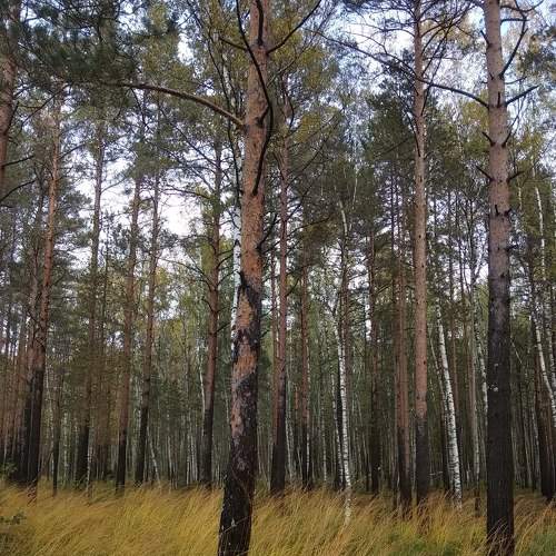 Photo #7357973