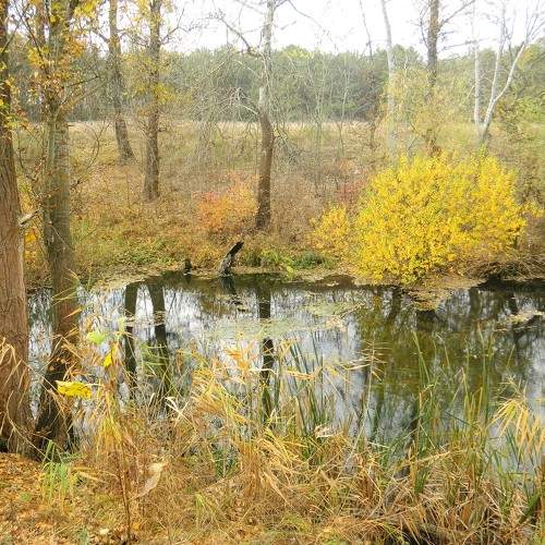 Photo #7357990