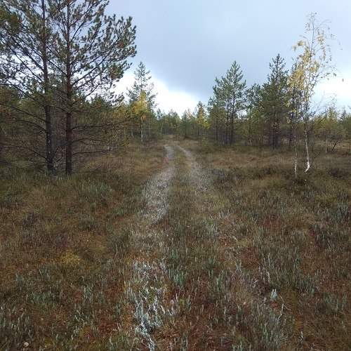 Photo #7358007