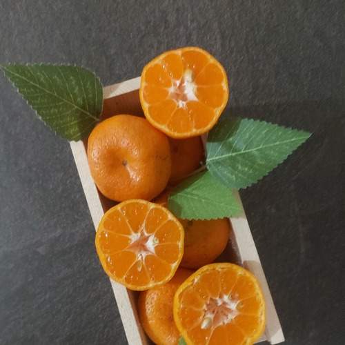Photo #7358062